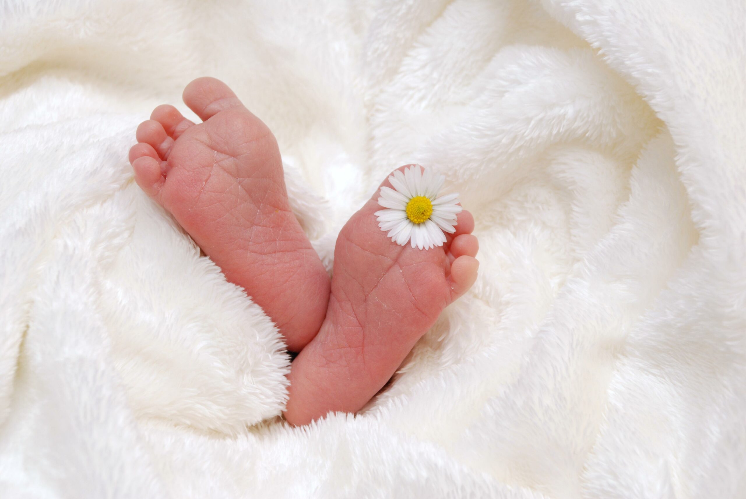 feet-718146